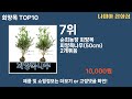 가장 많이 팔린 회양목 추천 top10