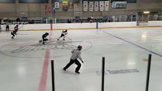 Scarborough Sharks goals