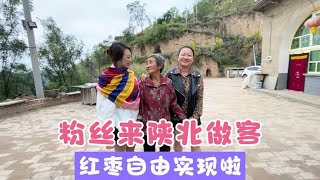 和叉子一起欢迎花儿粉丝来陕北旅游做客 红枣自由实现啦