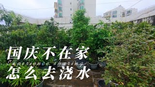 养花安装一个“自动”浇水神器，不用担心出远门，简单方便还实用