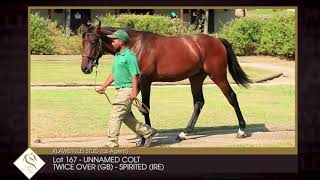 Lot 167-Twice Over (GB) – Spirited (IRE)