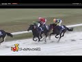 【名古屋競馬】ゴールドウィング賞２歳オープン2018　エムエスクイーン無傷の６連勝なるか