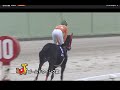 【名古屋競馬】ゴールドウィング賞２歳オープン2018　エムエスクイーン無傷の６連勝なるか