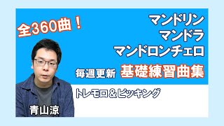 【全360曲】演奏を日常に。基礎練習曲集を公開！【マンドリン・マンドラ・マンドロンチェロ】