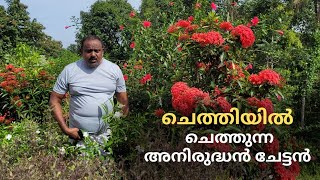 ചെത്തിപ്പൂക്കളുടെ അനിരുദ്ധൻ ചേട്ടൻ Crazy Gardening | Malayalam