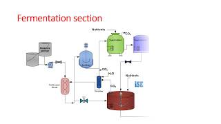 Ethyl alcohol manufacturing by molasses fermentation