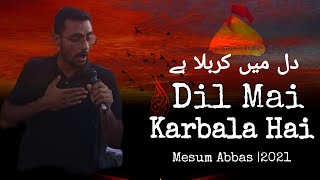 DIl Mai Karbala Hai | Mesum Abbas |Muharram| New Noha 2021 #DIlMaiKarbalaHai #mesumabbas #nohay2021