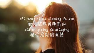 【致你-yihuik苡慧】ZHI NI-YIHUIK YI HUI /TIKTOK,抖音,틱톡/Pinyin Lyrics, 拼音歌词, 병음가사/No AD, 无广告, 광고없음