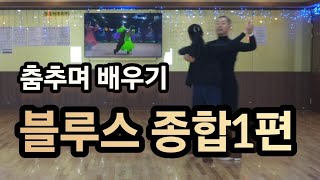 부르스 종합1편 음악과 함께 춤추기(South Korean Social Dance Blues Master Class) 상급자용