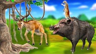 गर्व हिरण और चतुर नेवला सुवर Proud Deer and Clever Mongoose pig Hindi Kahaniya हिंदी कहनिया Stories