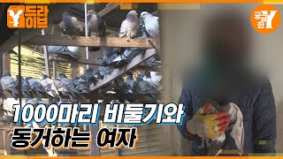 그녀는 왜 비둘기 1,000마리를 집안에 가뒀나? | Y드라이브