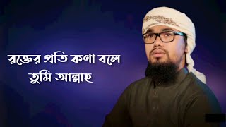 রক্তের প্রতি কণা বলে তুমি আল্লাহ | Abu Rayhan | নতুন ইসলামিক গজল | লিখিত |