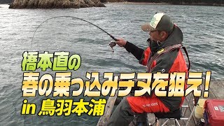 橋本直　春の乗っ込みチヌを狙え！in三重 鳥羽本浦