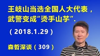 王岐山当选全国人大代表，武警变成“烫手山芋”（2018.1.29）