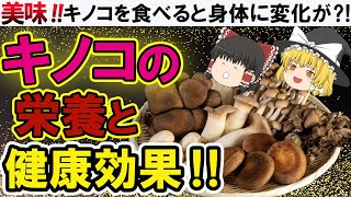 【ゆっくり解説】キノコ 🍄のすごいパワー‼