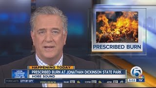 Prescribed burn Monday at Jonathan Dickinson State Park