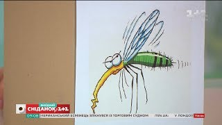 Обираємо найкращий засіб від комарів із біохіміком Глібом Репічем