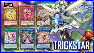 Trickstar Festival! New Trickstar Deck Support!  [Yu-Gi-Oh! Duel Links]