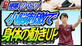 【脳梗塞 リハビリ】小脳の刺激で、身体機能UP！小脳刺激する理由と刺激する方法！