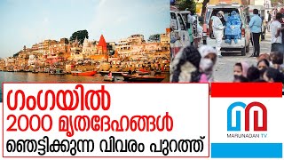 ഒരാഴ്ചക്കുള്ളില്‍ 2000 മൃതദേഹങ്ങള്‍ ഗംഗയില്‍ I Ganga river