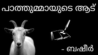 പാത്തുമ്മായുടെ ആട് || വൈക്കം മുഹമ്മദ് ബഷീർ || #malayalam #novel #basheer #pathummayudeaadu #stories