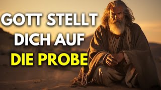 BEVOR GOTT DICH NUTZT, STELLT ER DICH AUF 7 PROBEN!