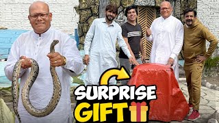 Surprise Gift For SW Pet House 🎁- Llama ka Naam Rakh Diya 🦙| BT Farm Stories Vlog #40