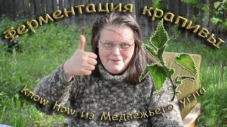 Ферментация крапивы   know how из Медвежьего угла