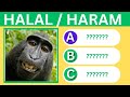 Islamic Quiz 🕌 | Haram or Halal Animals To Eat?  |  (no music)