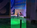 ボールを運ぶバンドウイルカ　浅虫水族館　bottlenose dolphin carrying a ball