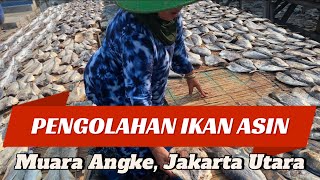 Betapa Kumuhnya Mengolah Ikan Asin, Hidup Nggak Ada Manis-manis nya ya ? #muaraangke #ikanasin