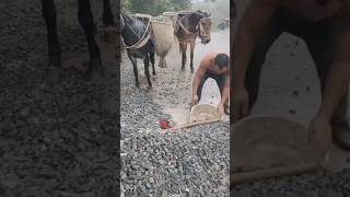 Horse transport sand and stone craft mountain people an important means of transportation