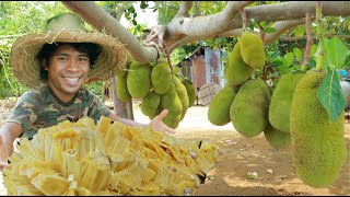 wow Sweet Jackjfruit delicious   Mouth Watering  again