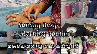 Sunday Busy Morning Routine | Day In My Life | മങ്ങലത്തിനു പോകലും തിരക്കും ഒക്കെയായി ഒരു ദിവസം