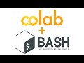 Google Colab - An Intro to Bash Scripting!