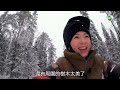 芬蘭潮什麼｜超夢幻靚景！｜猶如進入咗電影世界 梁芷珮 芬蘭 旅遊 雪橇犬 北極光 玻璃屋 ｜雪地單車