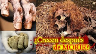 ¿Los UÑAS Y PELOS crecen después de M0RlR?