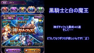 黒騎士と白の魔王　神ガチャフェス最終日４０連　そして・・・