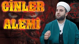 Cinler Alemi Hakkında Merak Edilen Herşey !