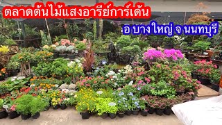 ตลาดทางเลือกสำหรับคนรักไม้