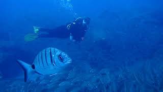 bucear en La Gomera