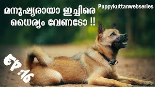 Puppykuttan Webseries Malayalam EP 16 Daily Tips