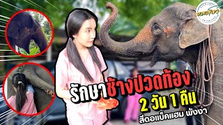 รักษา “สีดอแบ็คแฮม” ปวดท้อง | หมอโบว์ หมอตัวเล็กกับคนไข้ตัวใหญ่