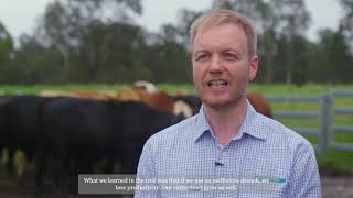 NSW DPI - Cattle Production - Worm Control