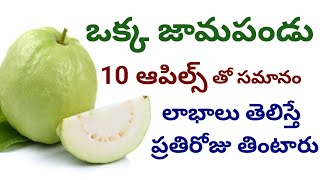 జామపండు ఆరోగ్య రహస్యాలు | Ultimate health benefits of guava | ismail telugu health