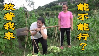 肥妍自告奮勇要幫忙幹活，9妹摘一擔子黃瓜給她挑，結果差點把腰閃了！ 【巧婦9妹】