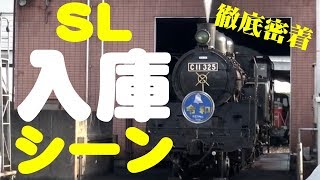 【真岡鐵道】真岡駅でC11”SLもおか”の入庫作業に密着してみた