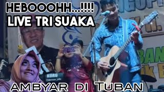 Download Lagu Ambyar Tri Suaka Dalan Liane Live in Tuban... MP3 Gratis