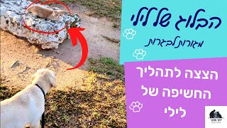 הבלוג של לילי 6 | הצצה לתהליך החשיפה של לילי