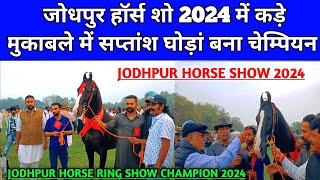 जोधपुर हॉर्स शो 2024 में पंजाब का सप्तांश घोड़ां बना चेम्पियन। JODHPUR HORSE RING SHOW 2024।